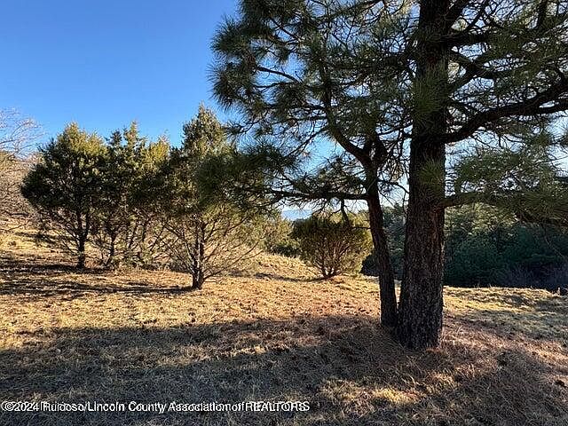 2nd image of 1401 High Mesa Rd