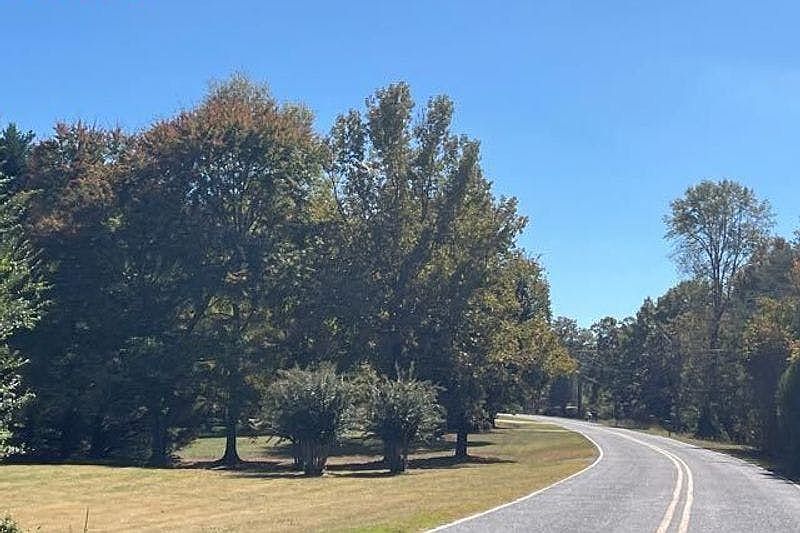 2nd image of 217 Wells Mill Rd