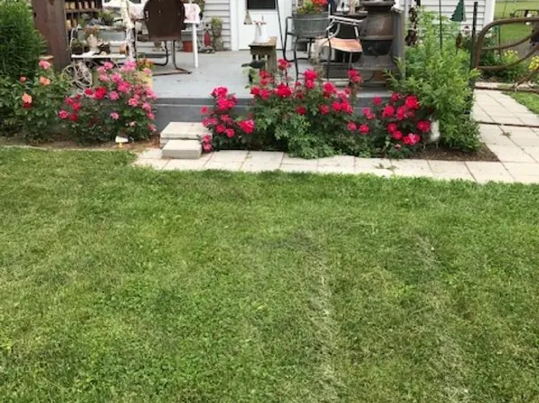 3843 Elizabeth St, Rosebush, MI 48878