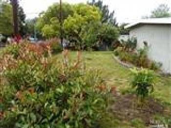 2nd image of 205 Los Cerritos Dr