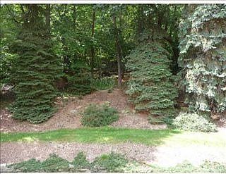 3rd image of 3001 Sturbridge Ct