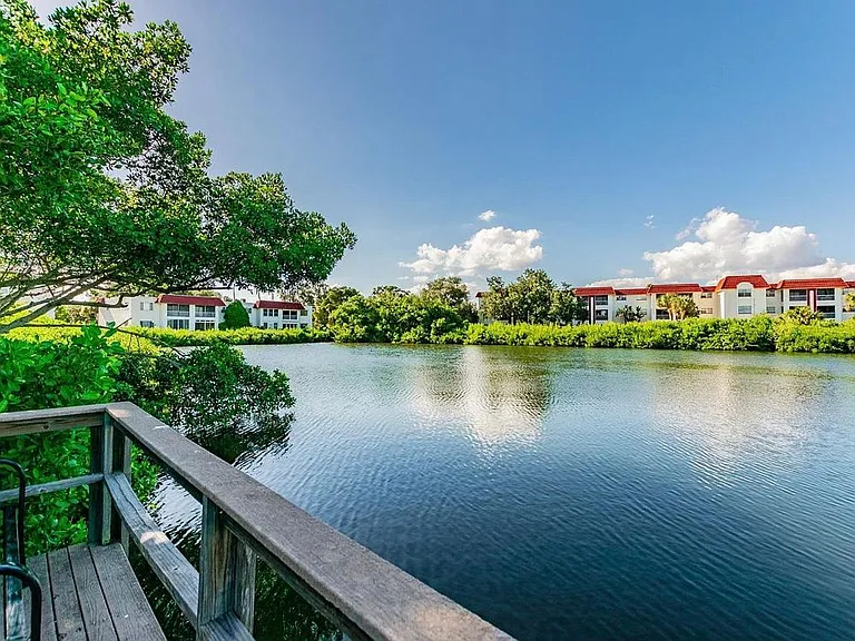 View from the dock to the left.