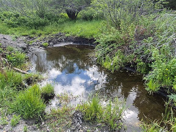 5th image of 28 Muskrat Rd