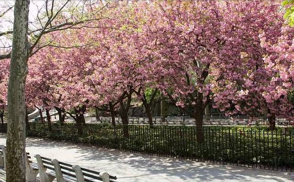 Hudson River Park!!!