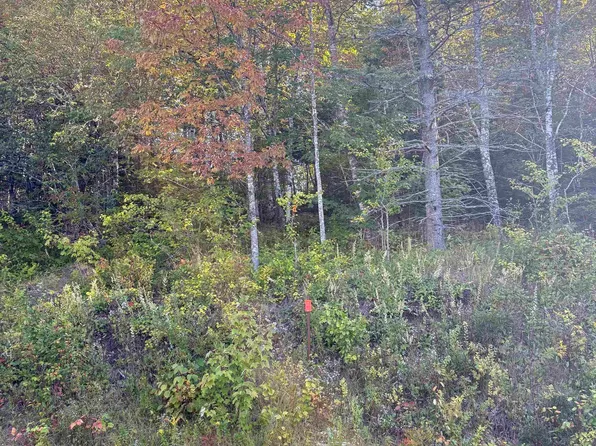 LOT 4 Ohio East Rd, Saint Joseph, NS B2G 2K8