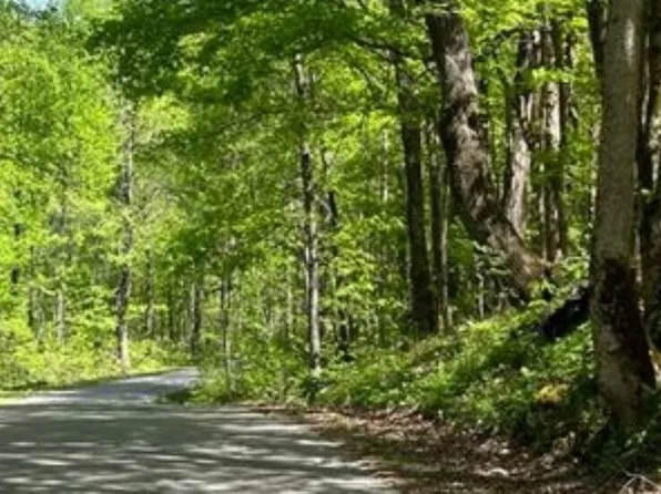 Sheep Bluff Rd, Cookeville, TN 38506