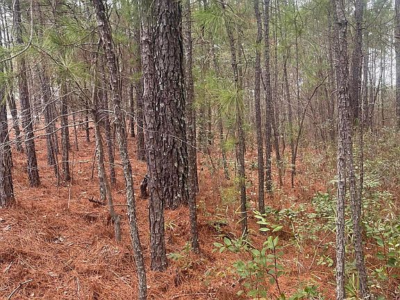 4th image of Lot 6 & 7 Bumpy Lane