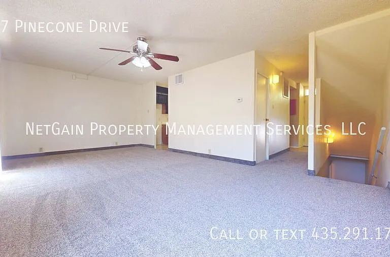 357 Pinecone Dr — Photo 4