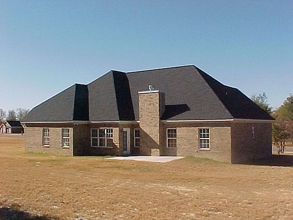 Back View