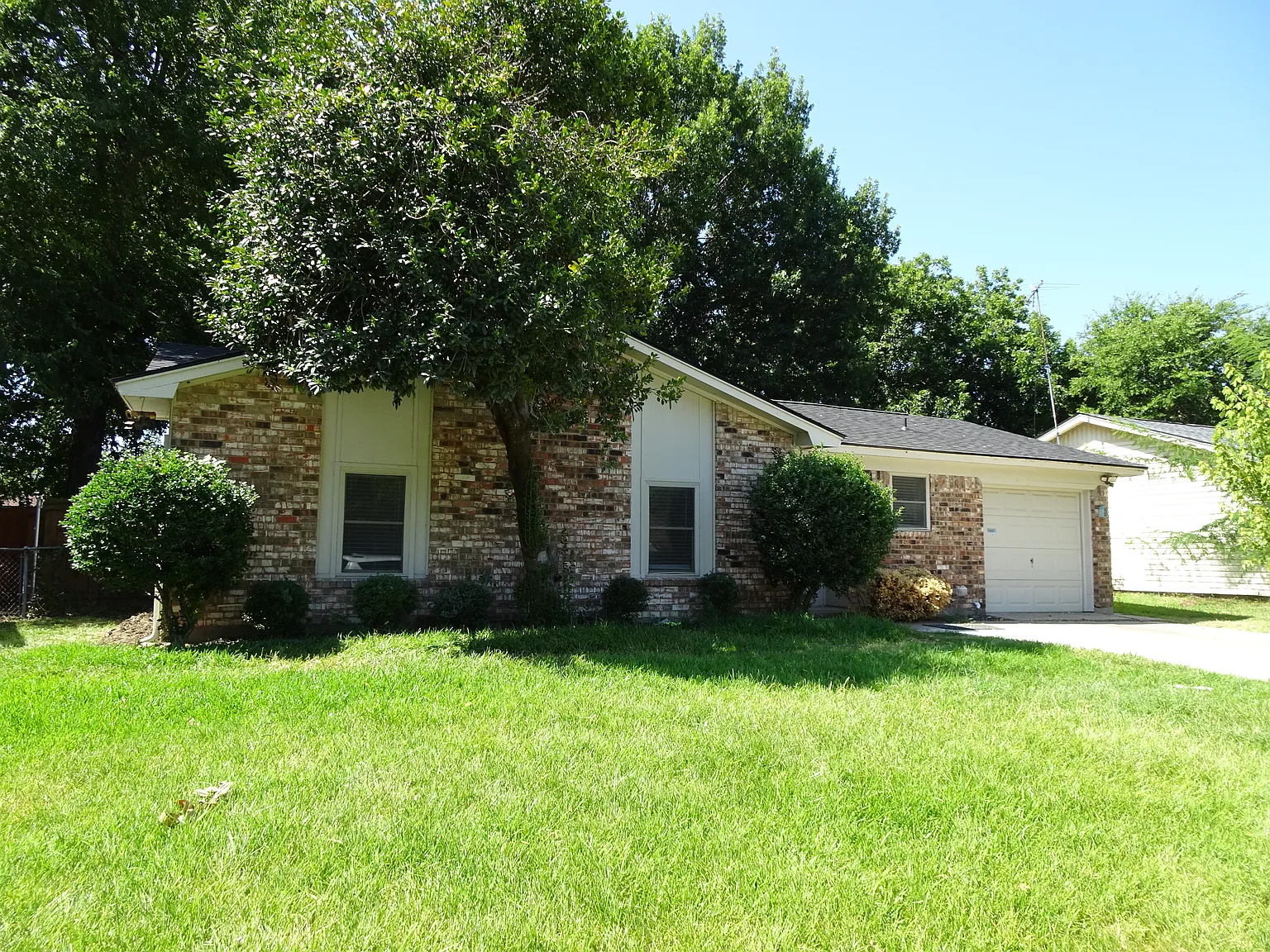 3 bed, 1.5 bath, 1043 sqft, $2,100 — Photo 3