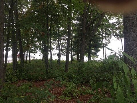 5th image of 0 Dogwood Dr