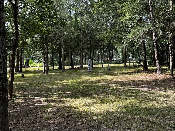 4th image of 15728 Goldenrain Ln