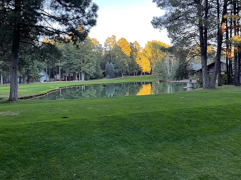 Deep Forest Dr — Photo 37