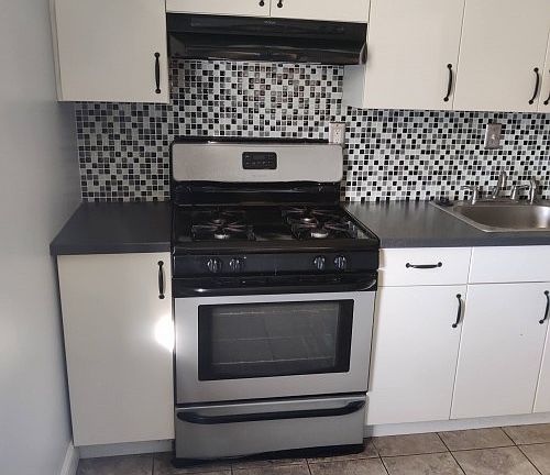 3rd image of 1027 E Hunting Park Ave Floor 2