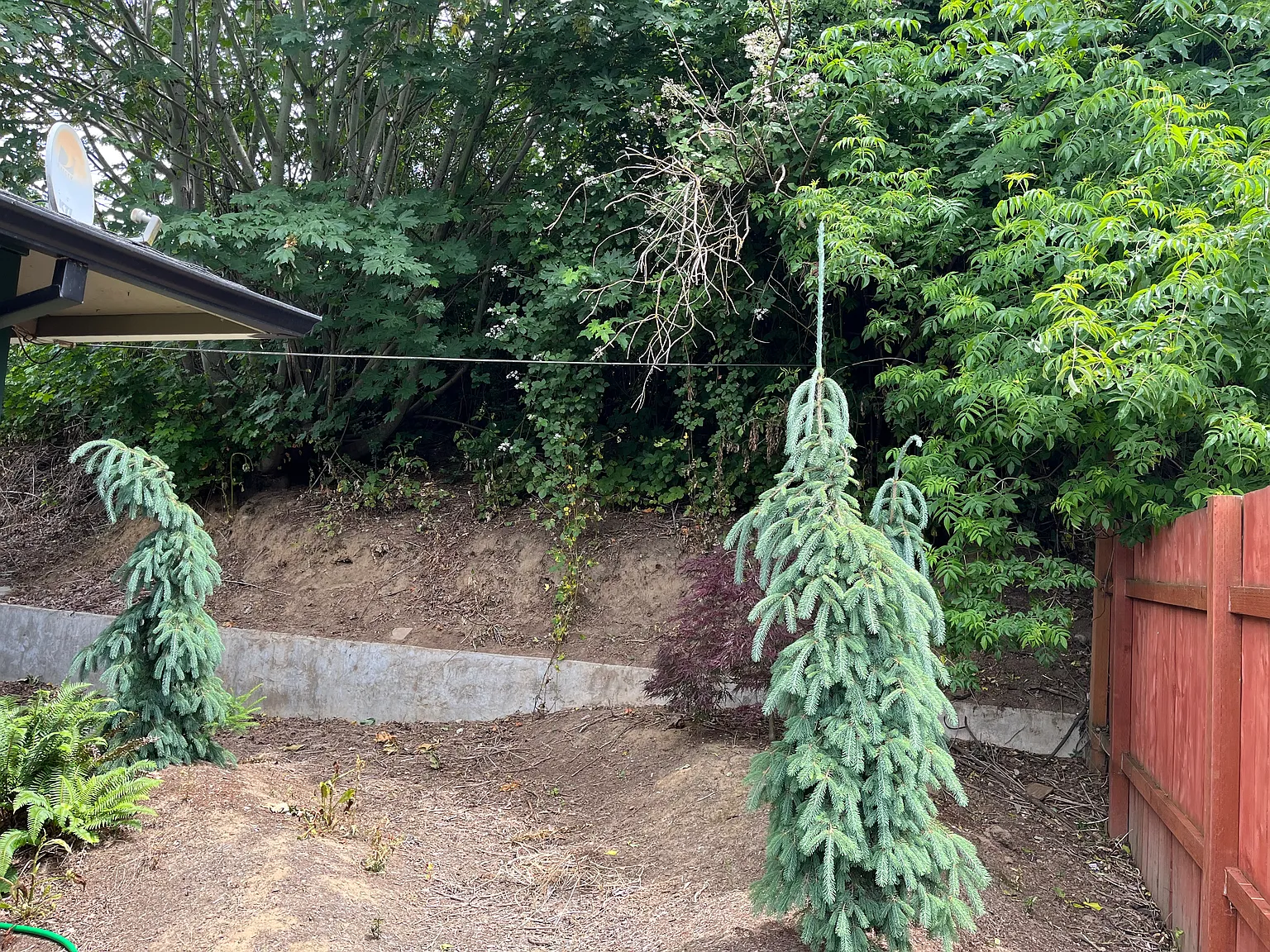 2 bed, 800 sqft, $1,900 — Photo 4