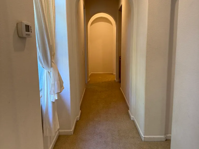 3001 Sweetviolet Dr — Photo 19