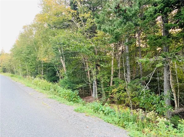 42 Bunker Hill Rd #85, Campobello Island, NB E5E 1Z3