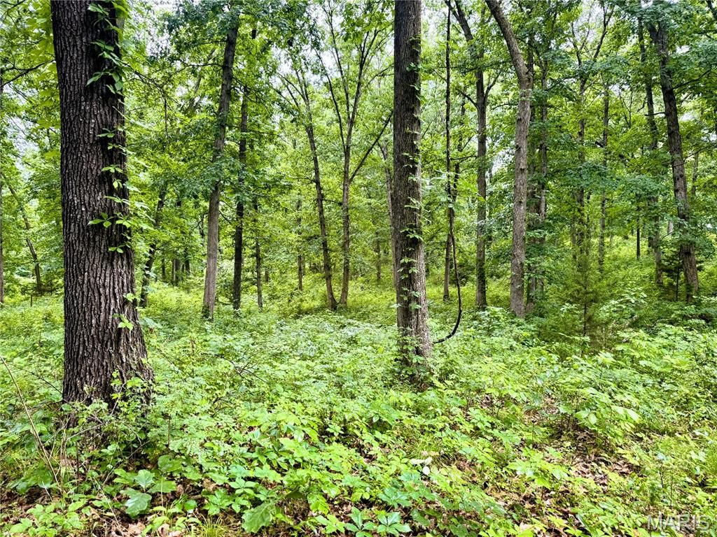 13628 Thornberry Rd, New London, MO - View 6