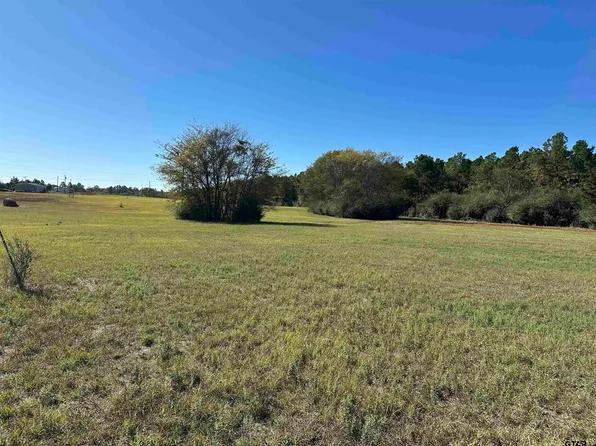 11B/ Old Spanish Trial Dr, Alto, TX 75925