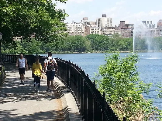 Rented by Nest Seekers International | media 1