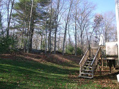 Back yard (facing right).