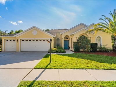 5723 Tanagerside Rd, Lithia, FL, 33547