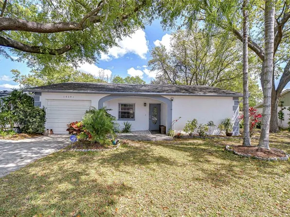 14041 ARBOR KNOLL CIRCLE, TAMPA, FL 33625