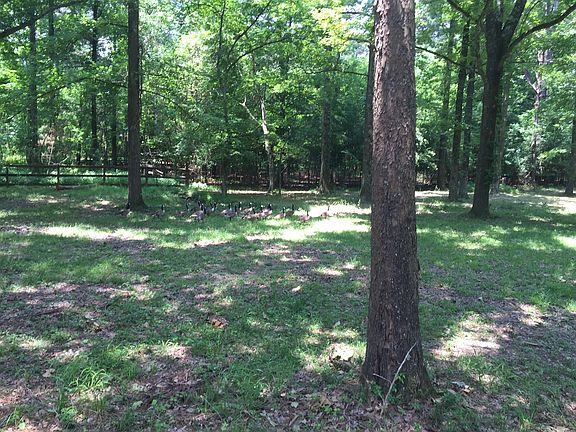 4th image of 160 Autumn Woods Dr