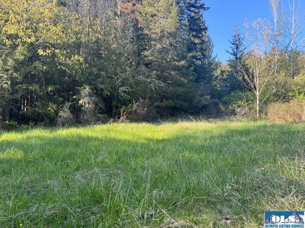 4XX Lake Of The Hills Loop, Sequim, WA 98382