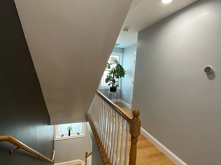 25-27 Albion St #2 — Photo 13