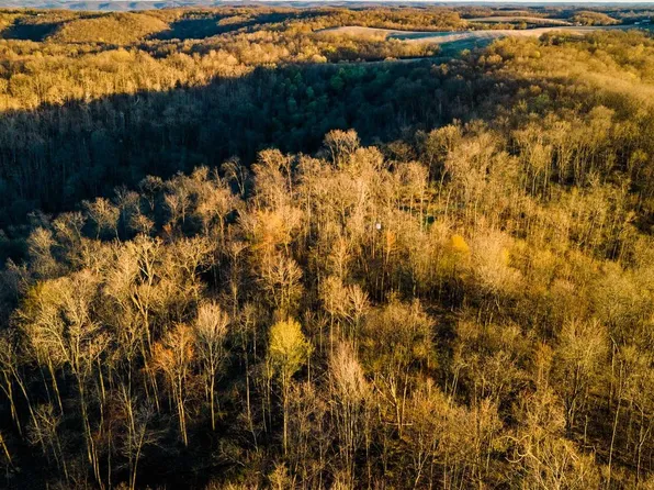 40009 COUNTY RD S, Blue River, WI 53518