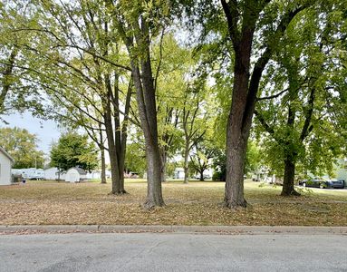 313 E Orchard St, Forrest, IL, 61741
