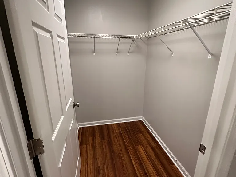Master bathroom walk-in closet