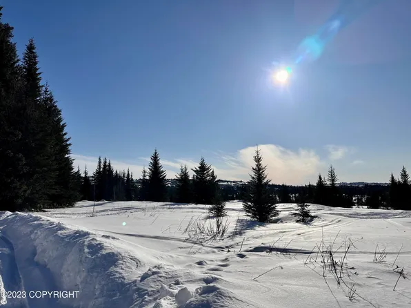 0 Kostino X Berezka Dr, Anchor Pt, AK 99556