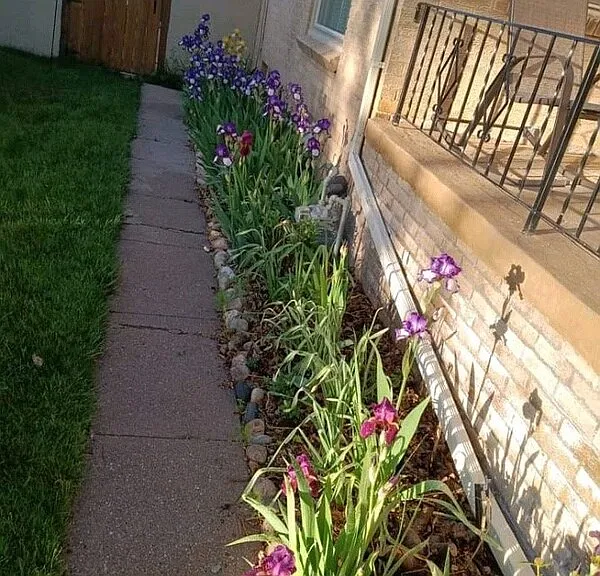 219 W 4th Ave — Photo 2