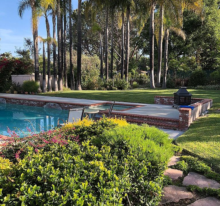 Back yard 