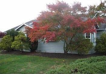 4th image of 7101 69th Pl NE