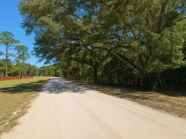 394 NE 526th St, Old Town, FL 32680