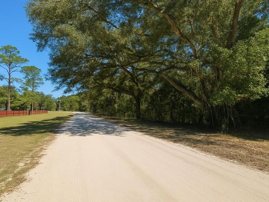 394 NE 526th St, Old Town, FL 32680