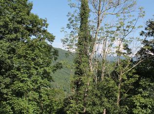 0 Baines Mountain Rd, Bryson City, NC 28713