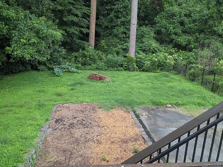 Backyard from deck