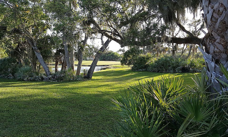 Water and greenscape