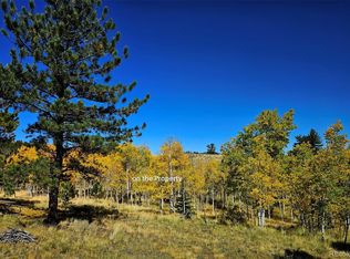 51 Singletree Lane, Hartsel, CO 80449