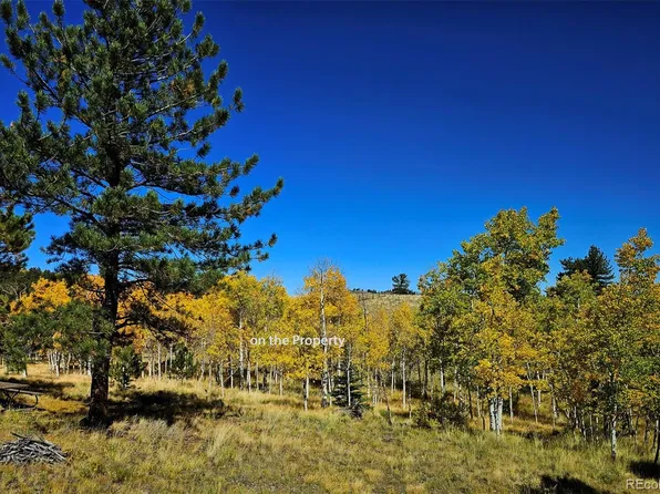 51 Singletree Lane, Hartsel, CO 80449