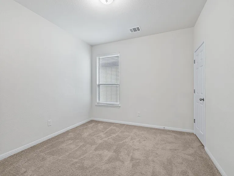 244 Brady Creek Way — Photo 21