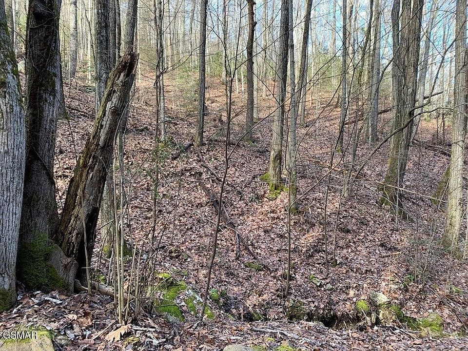 1st image of 14 Black Walnut Flats Rd Lot 14