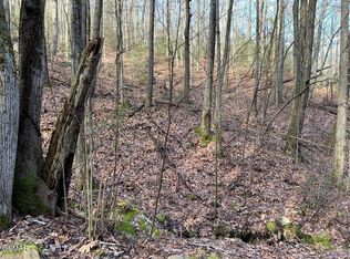 14 Black Walnut Flats Rd LOT 14, Sevierville, TN 37862