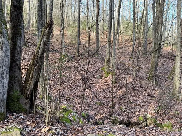 14 Black Walnut Flats Rd Lot 14, Sevierville, TN 37862