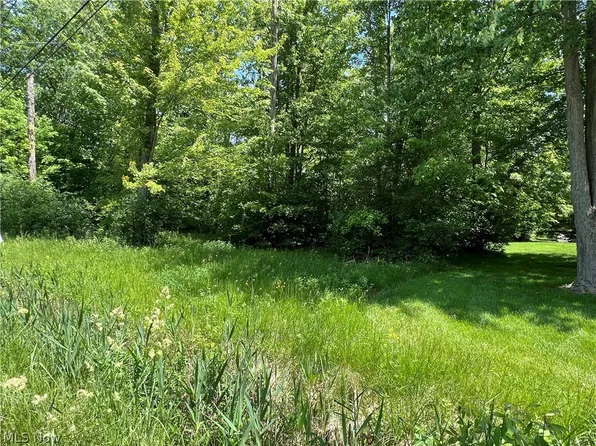 Shadyside Ave Lot 1, Ashtabula, OH 44004