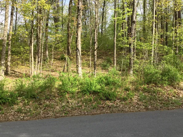 Shepard Ave, Delaware Water Gap, PA 18327